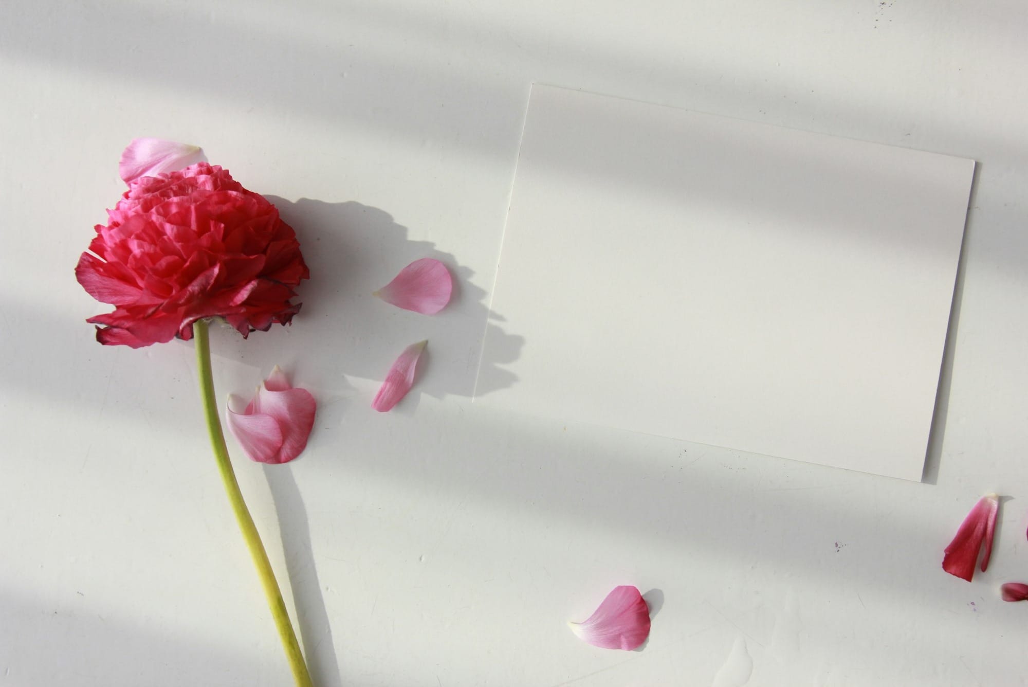 媽媽，我30歲了